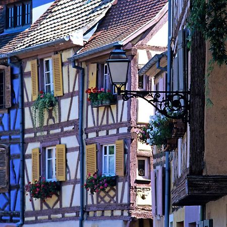 Gite See You Soon - Studio Surf Colmar Exterior foto